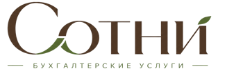 Профессиональное бухгалтерское обслуживание в Большой Камне 2026